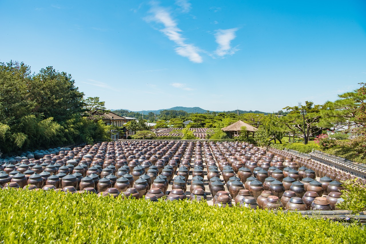 南朗农地出租信息最新，南朗最新农地租赁信息汇总