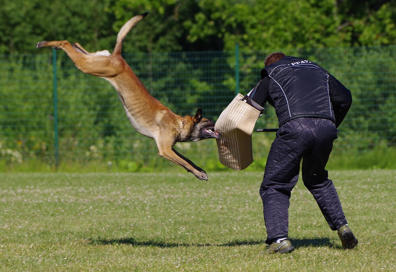 麻辣烫丨母女公园内遭大型犬嘶咬，狗主人该长长记性了