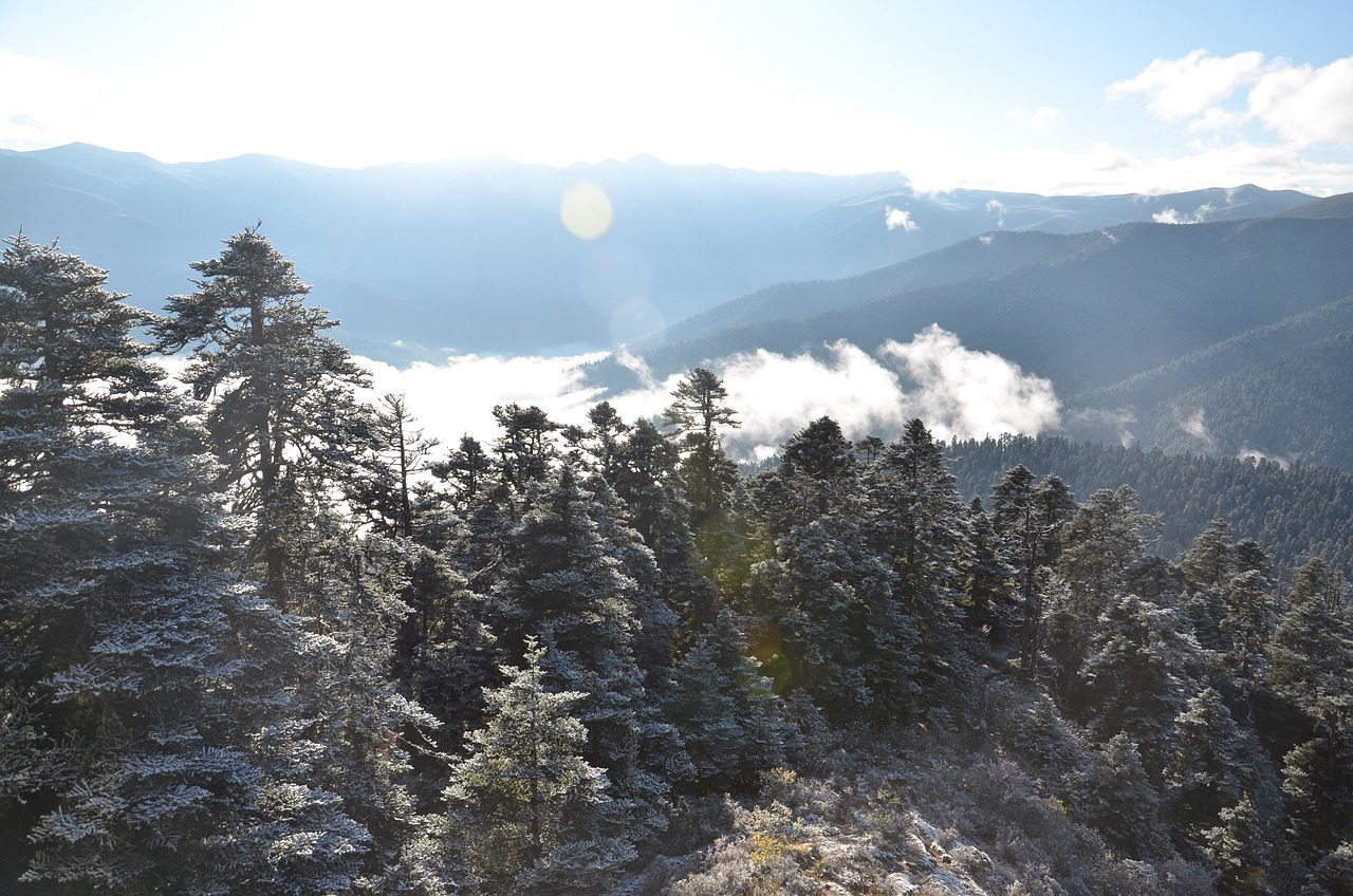 世界雪景排行榜最新，美不胜收的人间仙境，世界雪景排行榜，美不胜收的人间仙境尽收眼底